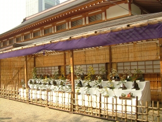20091018_靖国神社例大祭11.jpg
