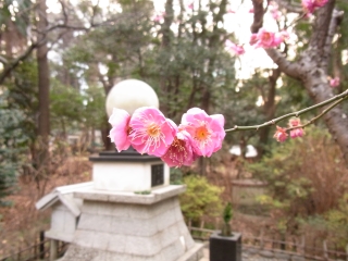 20110205_08靖国神社.jpg