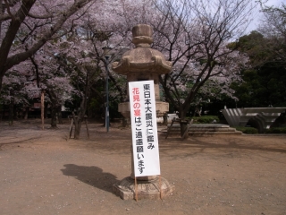 20110410_03靖国神社.jpg