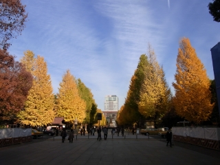 20111210_03靖国神社.jpg
