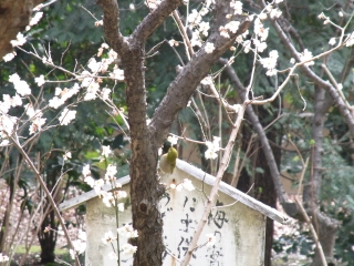 20120311_11靖国神社.jpg