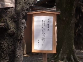 20120408_07靖国神社.jpg