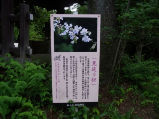 20120527_34栃木県 護国神社.jpg