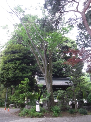 20120527_35栃木県 護国神社.jpg