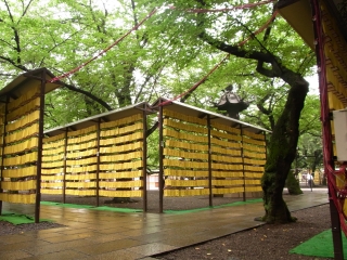 20120707_10靖国神社.jpg